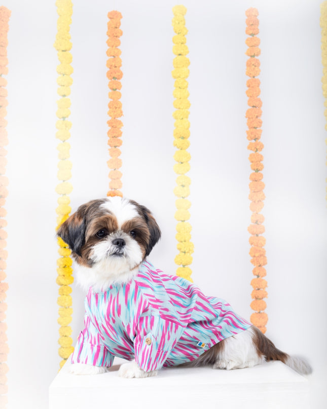 PHATAKA DOG KURTA