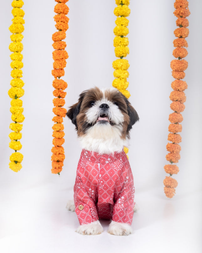 KHUSHI DOG KURTA