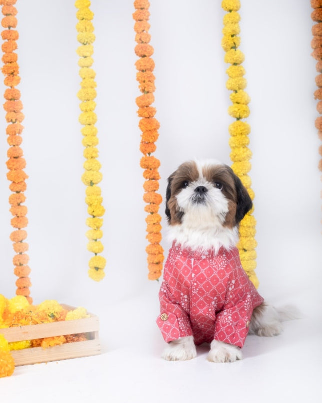 KHUSHI DOG KURTA