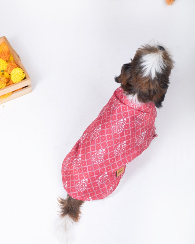 KHUSHI DOG KURTA
