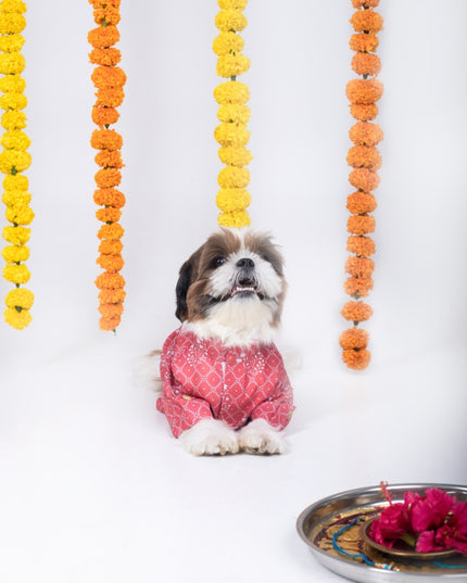 KHUSHI DOG KURTA