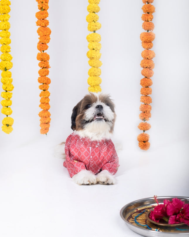 KHUSHI DOG KURTA