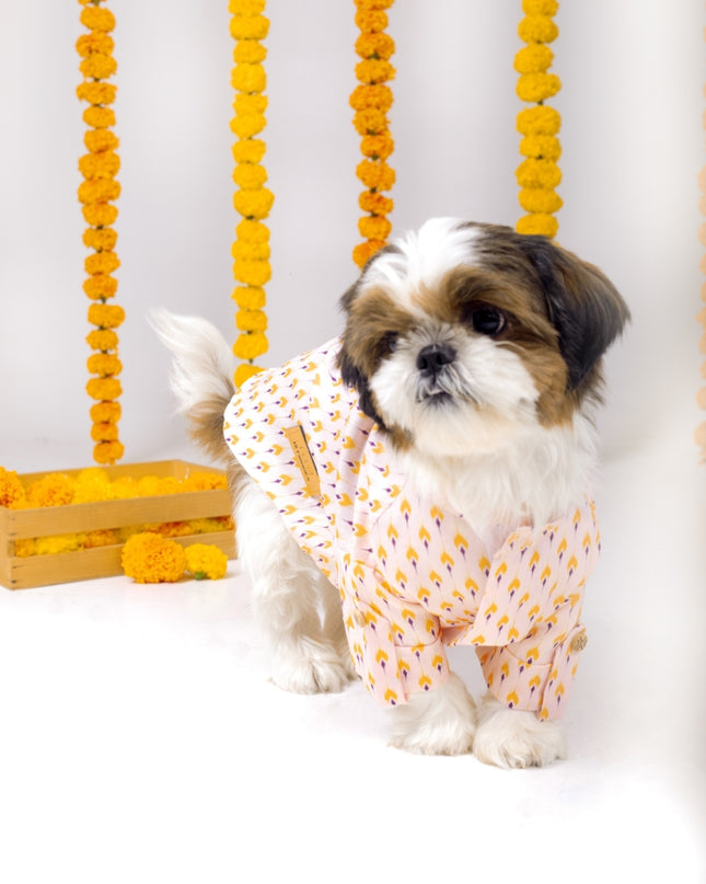 SANSKRITI DOG KURTA