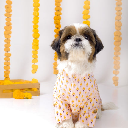 Collection image for: Dog Indian Kurtas