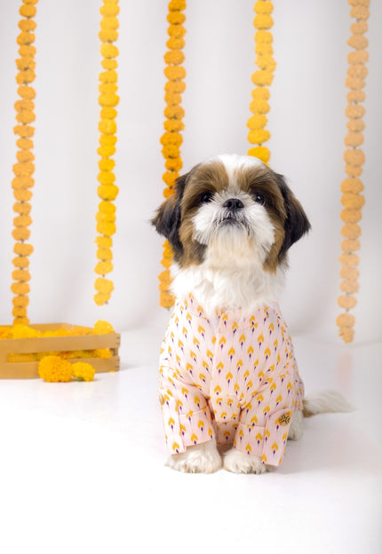 Collection image for: Dog Indian Kurtas