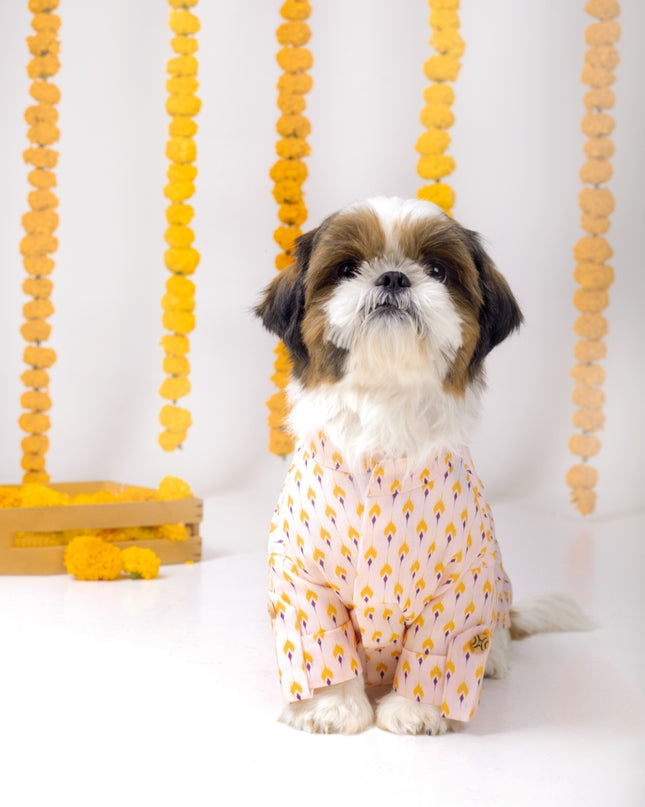 SANSKRITI DOG KURTA