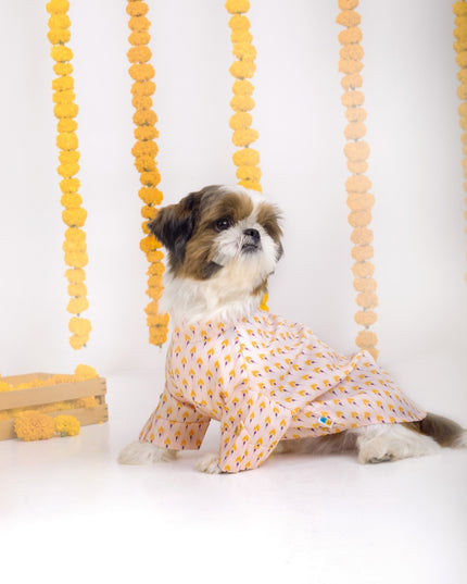 SANSKRITI DOG KURTA