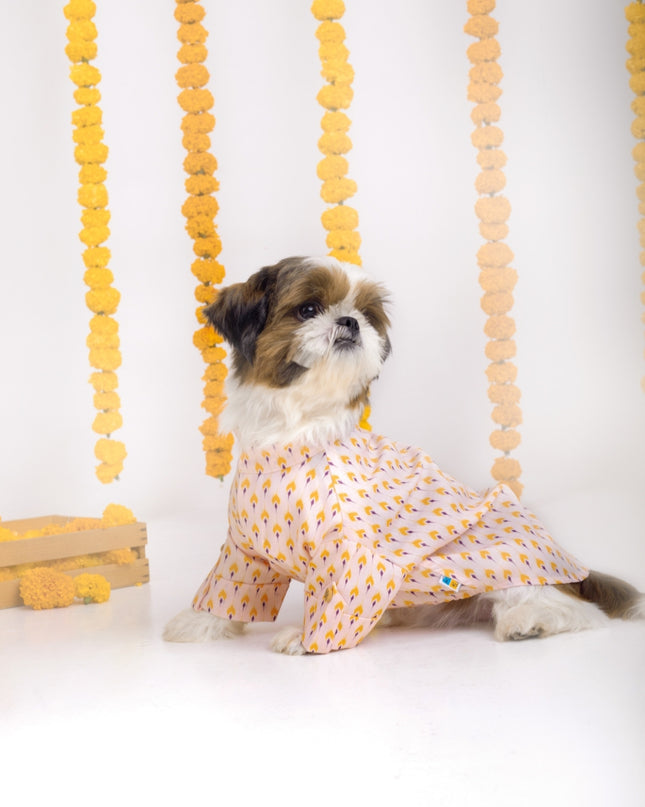 SANSKRITI DOG KURTA