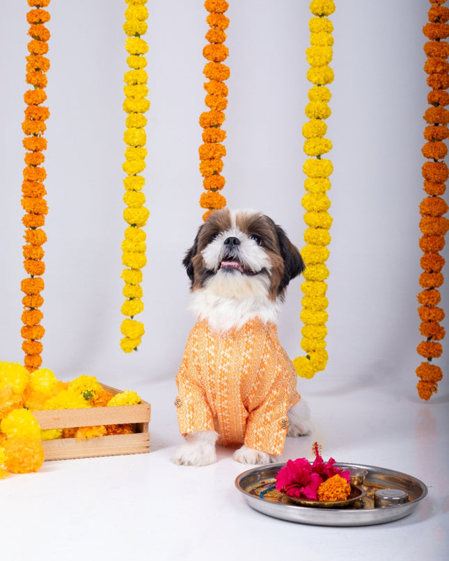 HALDI DOG KURTA