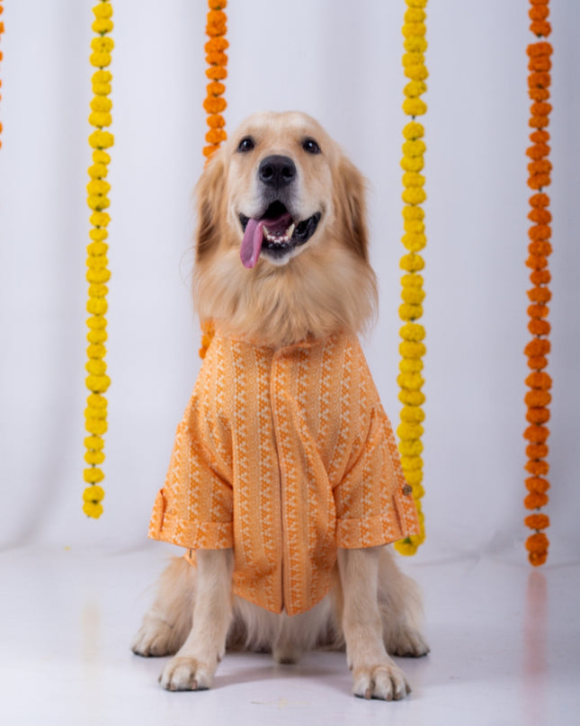 HALDI DOG KURTA