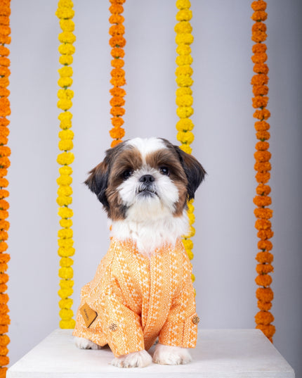 HALDI DOG KURTA