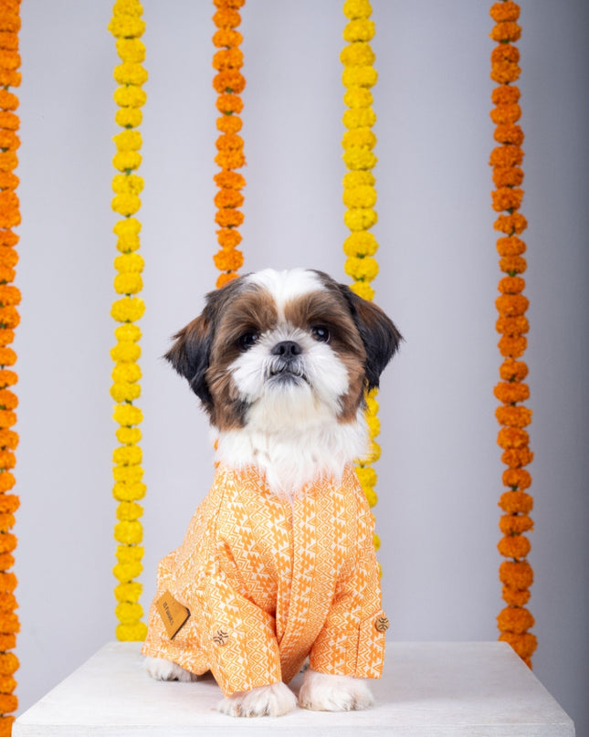 HALDI DOG KURTA