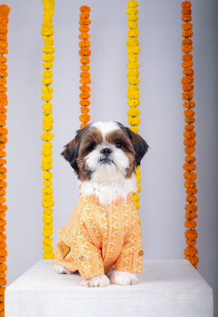 HALDI DOG KURTA