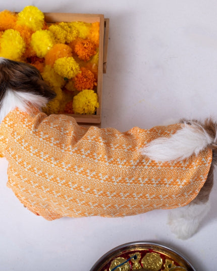 HALDI DOG KURTA