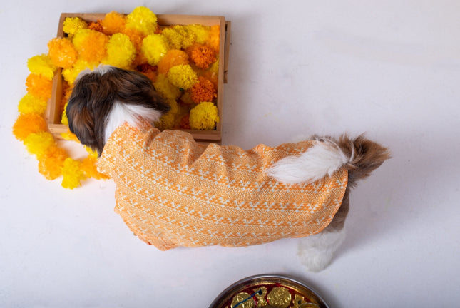 HALDI DOG KURTA