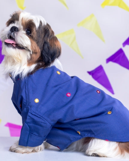 Persian Blue Mirrorwork Dog Kurta