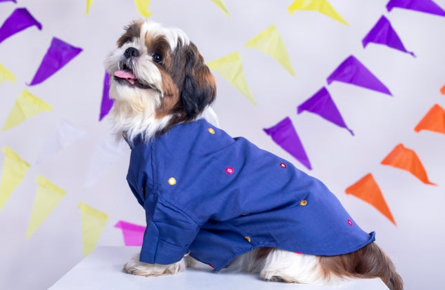 Persian Blue Mirrorwork Dog Kurta