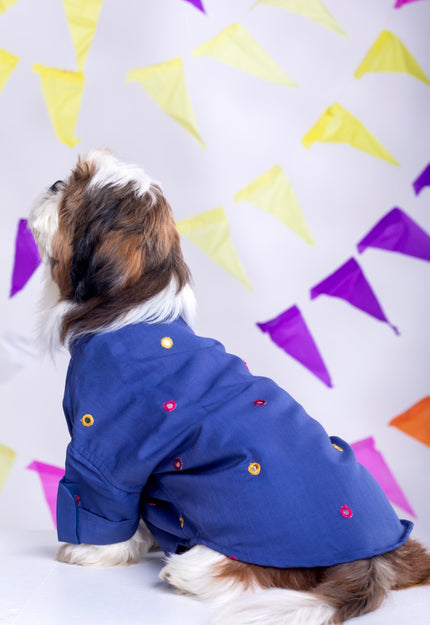 Persian Blue Mirrorwork Dog Kurta
