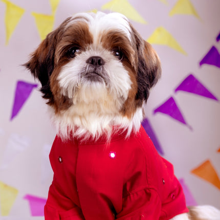 Collection image for: Dog Mirrorwork