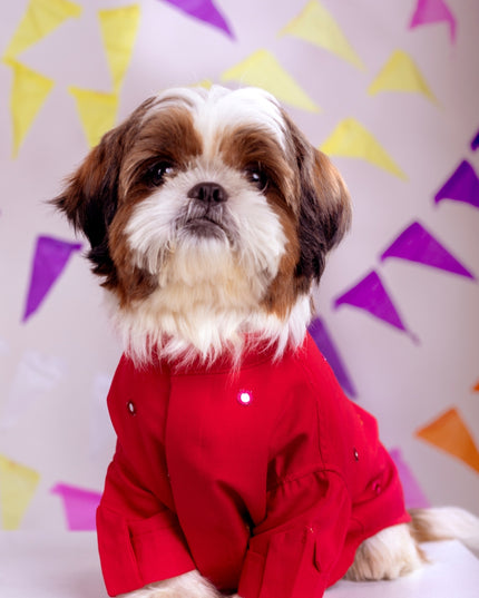 Electric Red Mirrorwork Dog Kurta