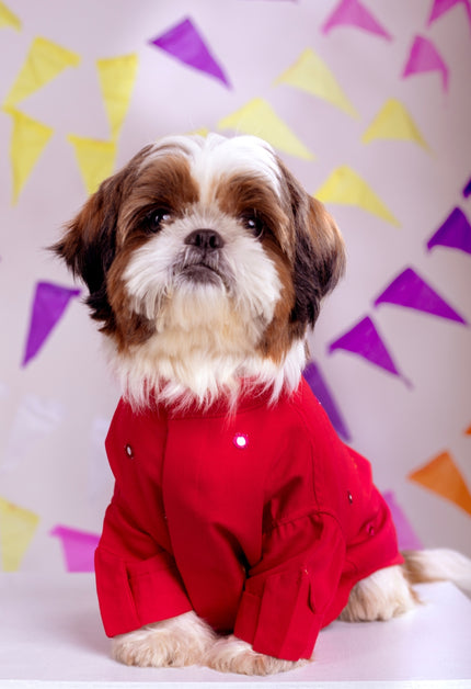 Electric Red Mirrorwork Dog Kurta