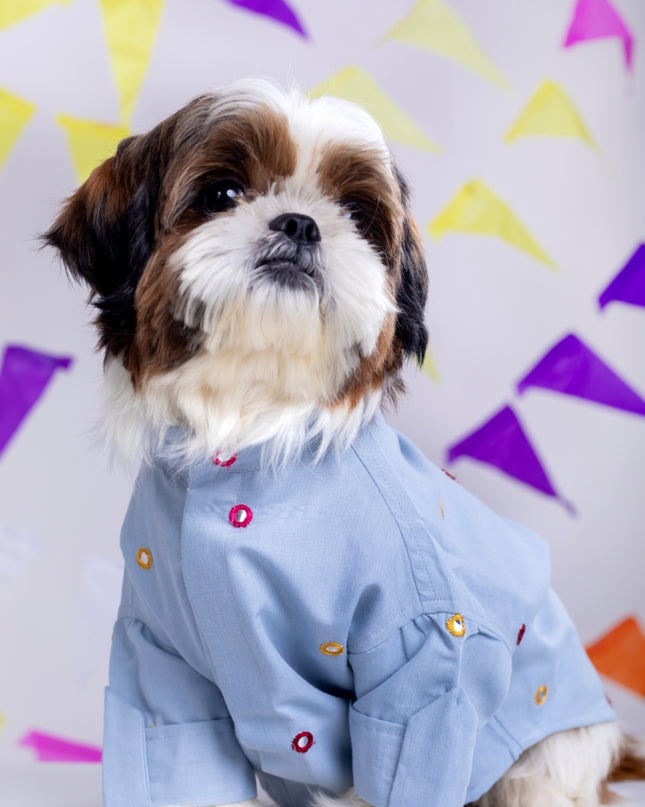 Powder Blue Mirrorwork Dog Kurta