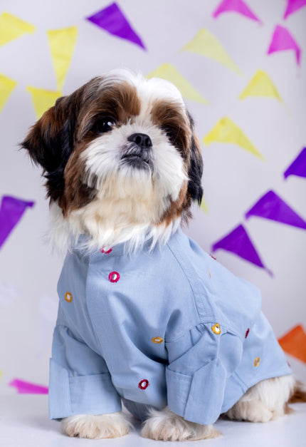 Powder Blue Mirrorwork Dog Kurta