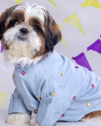 Powder Blue Mirrorwork Dog Kurta