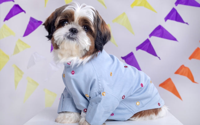 Powder Blue Mirrorwork Dog Kurta