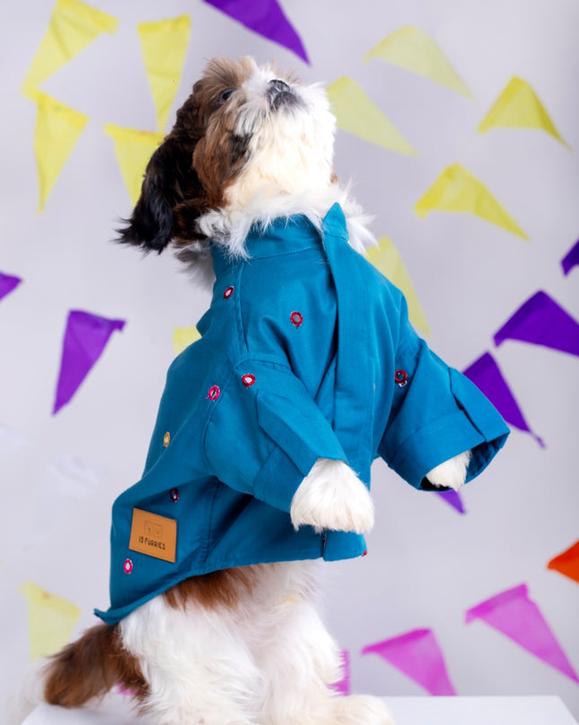 Teal Blue Mirrorwork Dog Kurta
