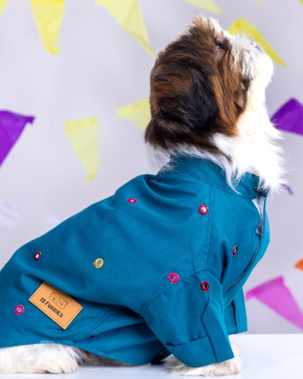 Teal Blue Mirrorwork Dog Kurta