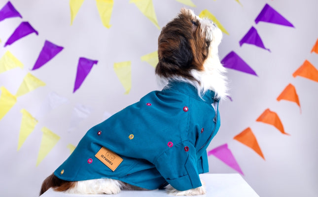 Teal Blue Mirrorwork Dog Kurta