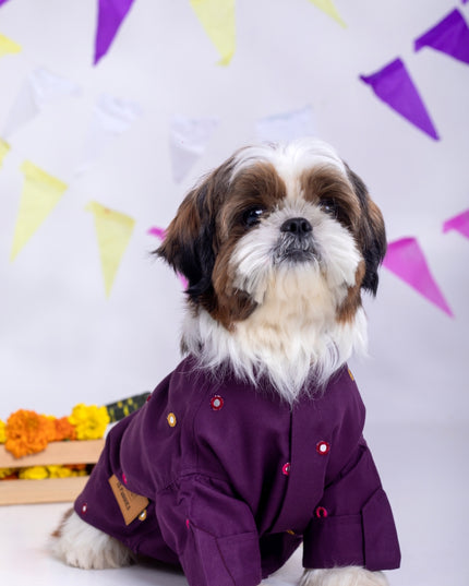 Purple Wine Mirrorwork Dog Kurta