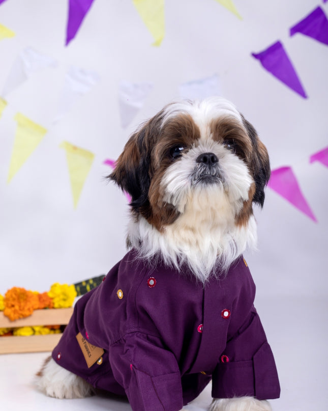 Purple Wine Mirrorwork Dog Kurta