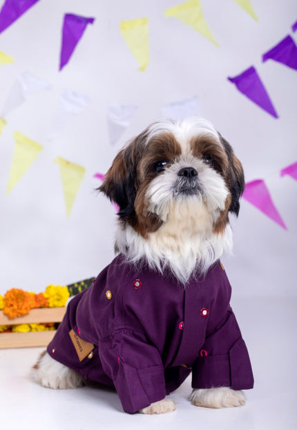 Purple Wine Mirrorwork Dog Kurta