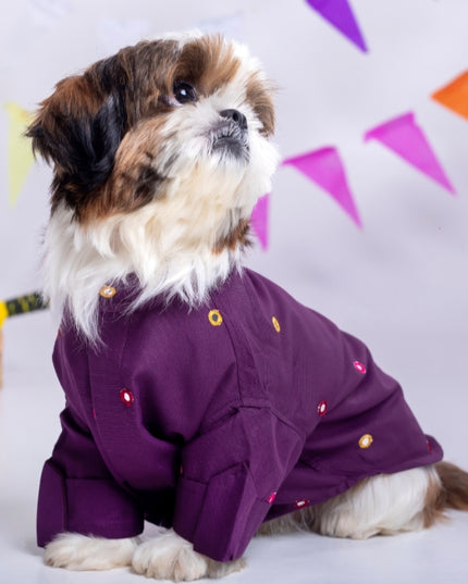 Purple Wine Mirrorwork Dog Kurta