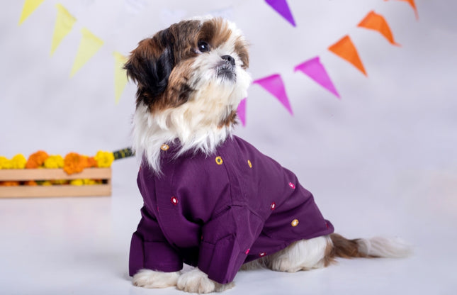 Purple Wine Mirrorwork Dog Kurta