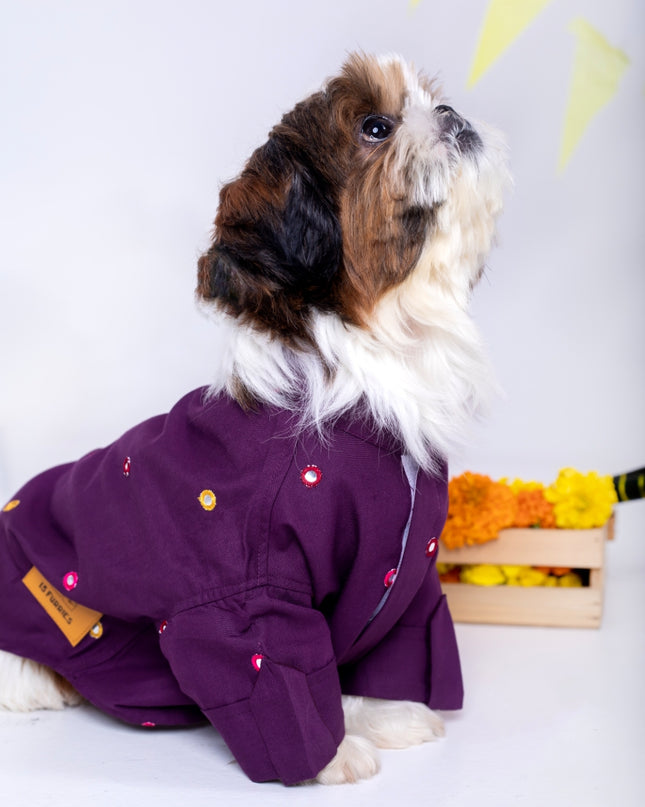 Purple Wine Mirrorwork Dog Kurta