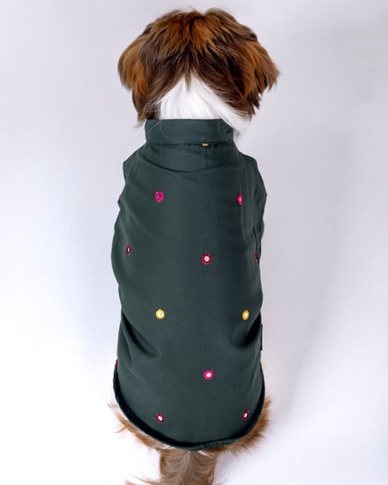 Hunter Green Mirrorwork Dog Kurta