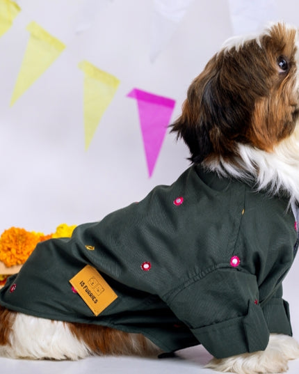 Hunter Green Mirrorwork Dog Kurta