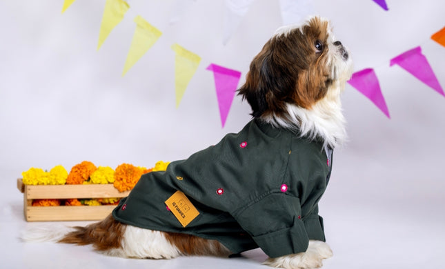 Hunter Green Mirrorwork Dog Kurta