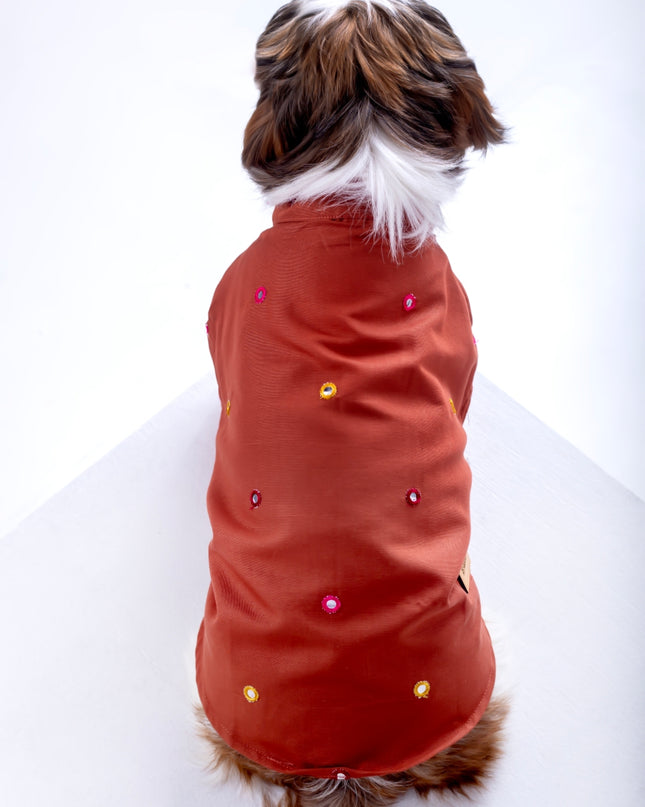 Rust orange Mirrorwork Dog Kurta