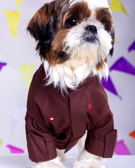 Chocolate brown Mirrorwork Dog Kurta
