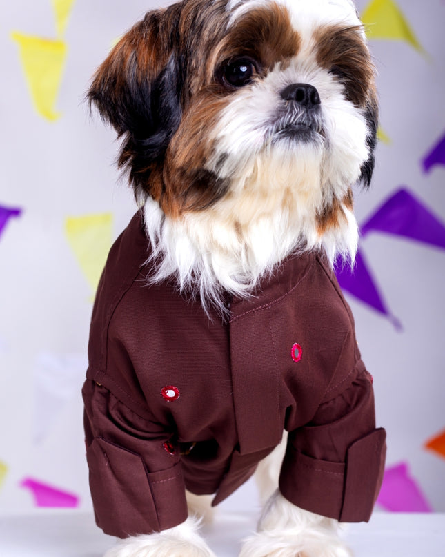 Chocolate brown Mirrorwork Dog Kurta