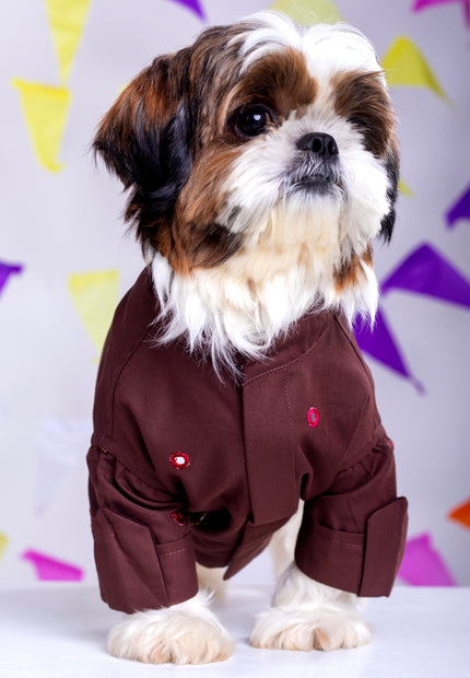 Chocolate brown Mirrorwork Dog Kurta