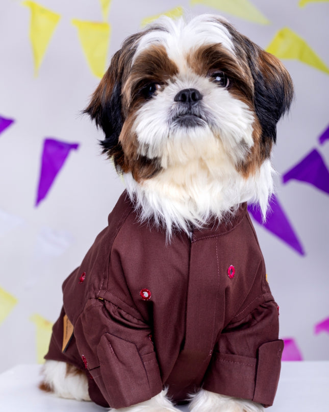 Chocolate brown Mirrorwork Dog Kurta