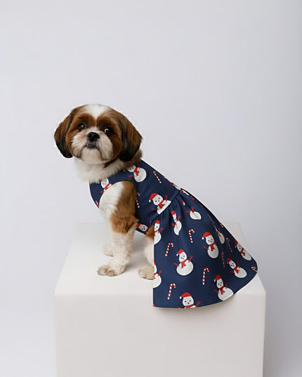 SNOWMAN DOG DRESS