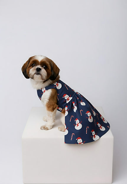 SNOWMAN DOG DRESS