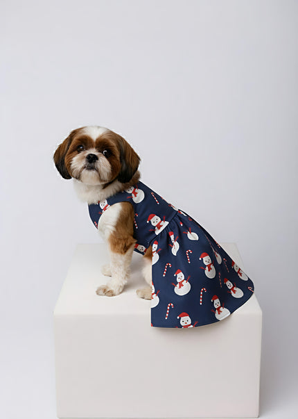SNOWMAN DOG DRESS