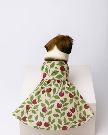 BLUSHING BERRIES  DOG DRESS